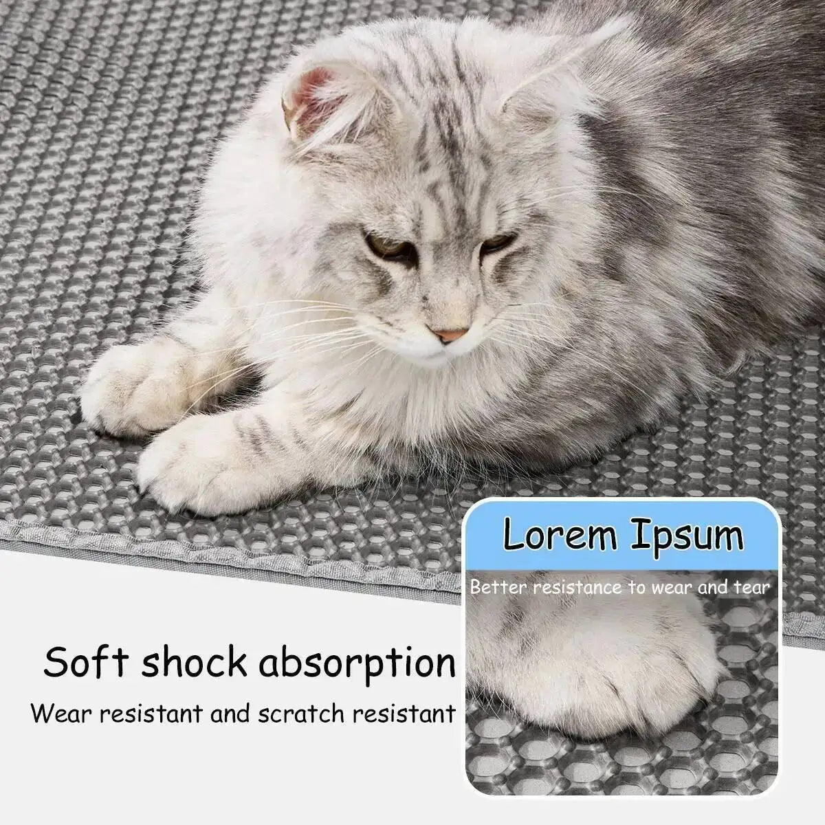 Professional Dual-Layer Litter Trapping Mat