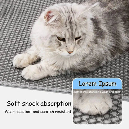 Professional Dual-Layer Litter Trapping Mat