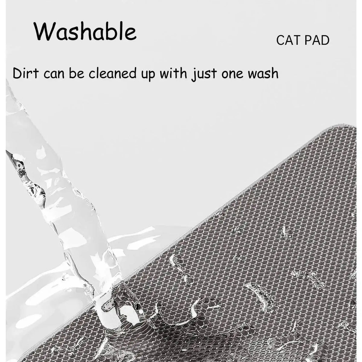 Professional Dual-Layer Litter Trapping Mat