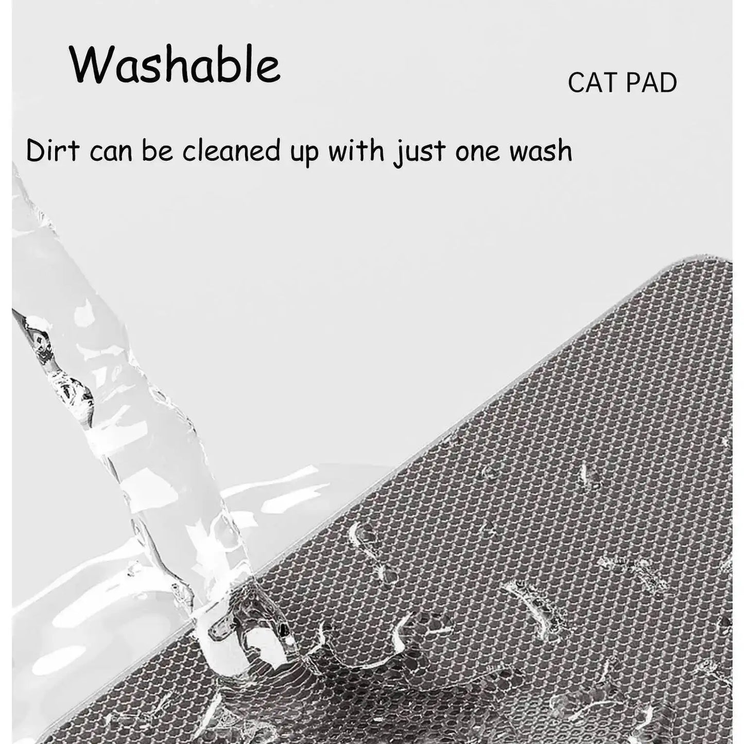 Professional Dual-Layer Litter Trapping Mat