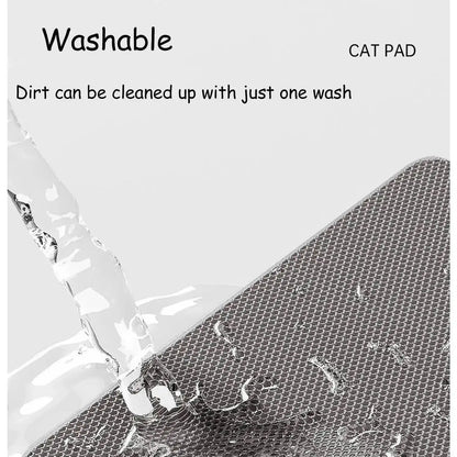 Professional Dual-Layer Litter Trapping Mat
