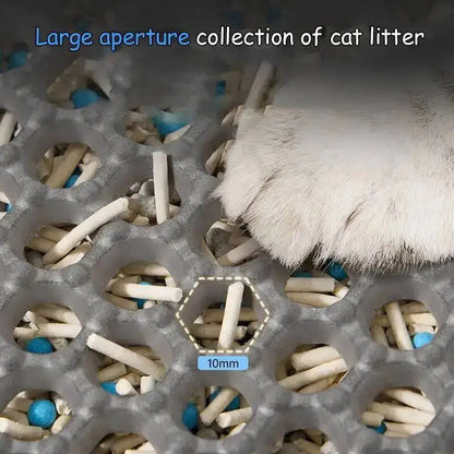 Professional Dual-Layer Litter Trapping Mat